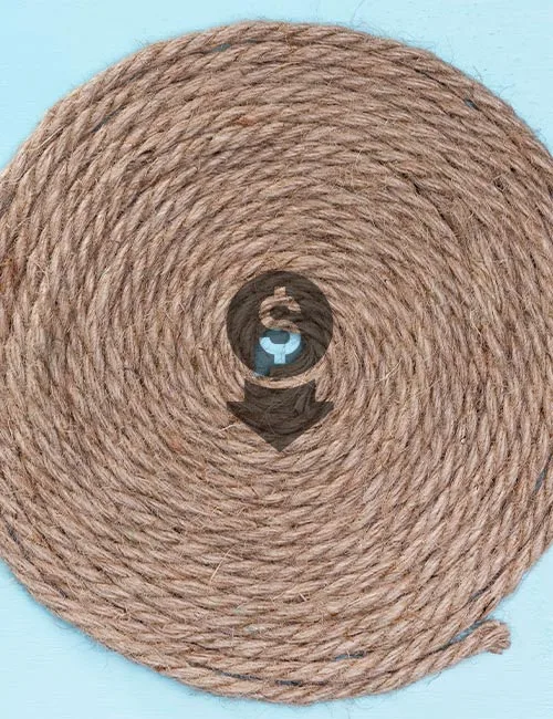 "Jute Rope with low cost"