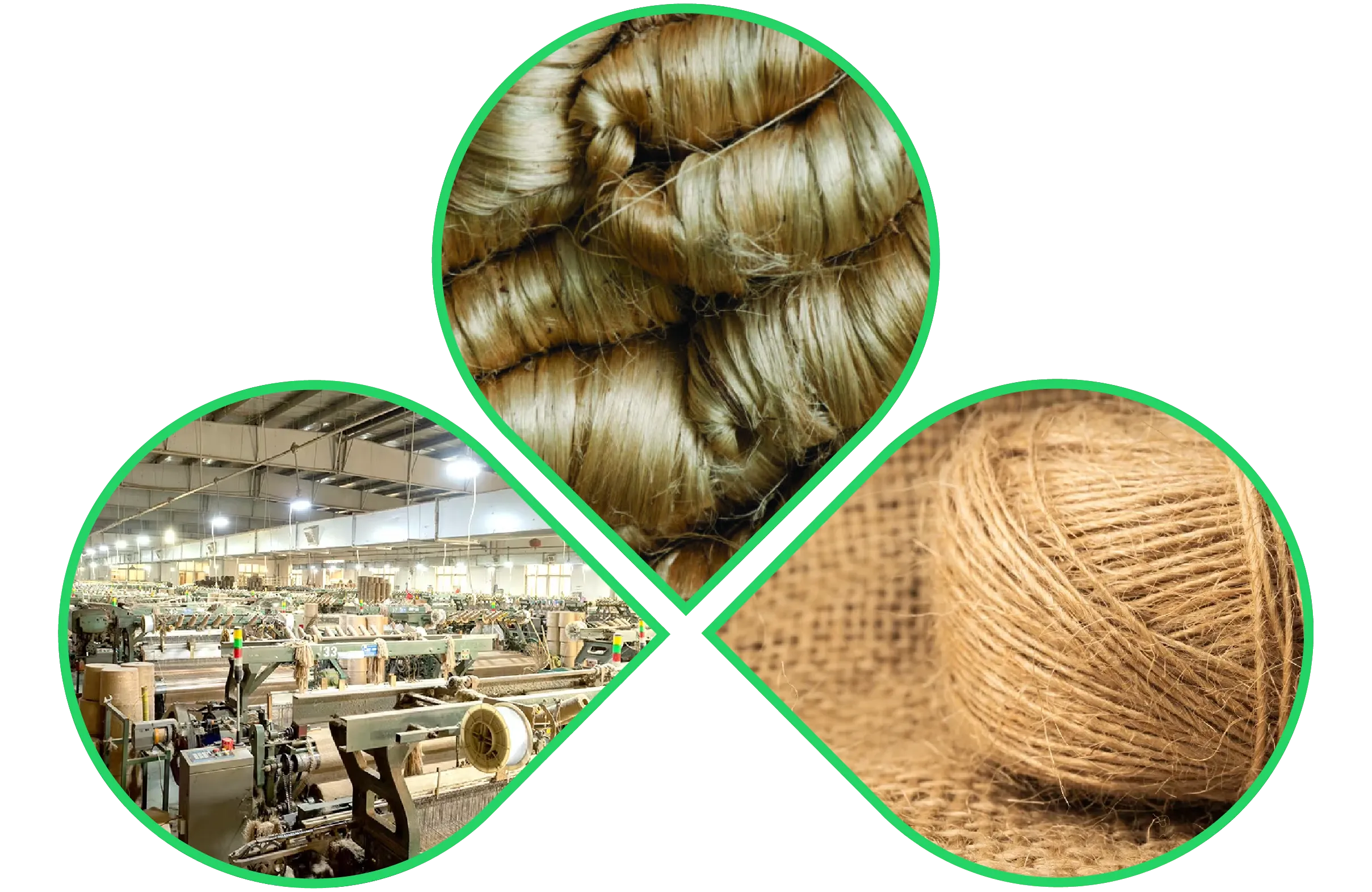 Raw jute fiber, industrial weaving machines, and finished jute twine ball