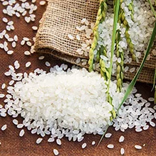 "rice in jute bags"