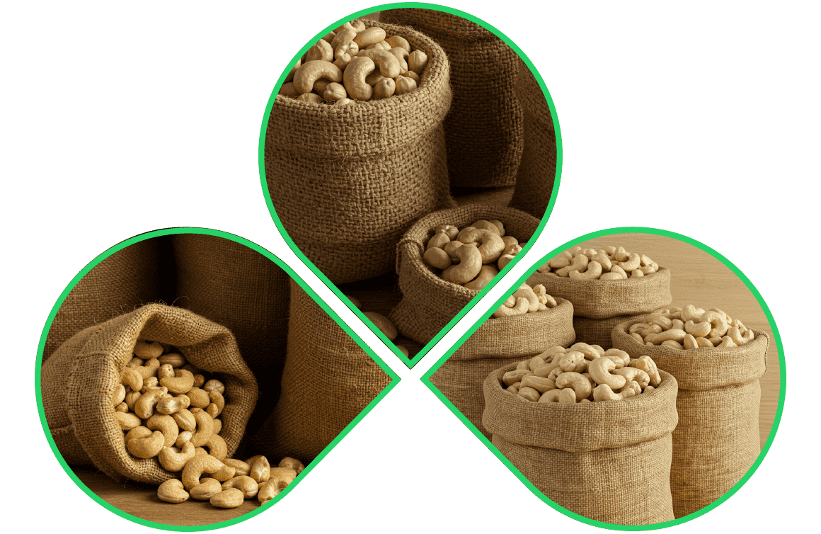 cashew nut bags storage