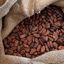 "cocoa bean jute sack bag"