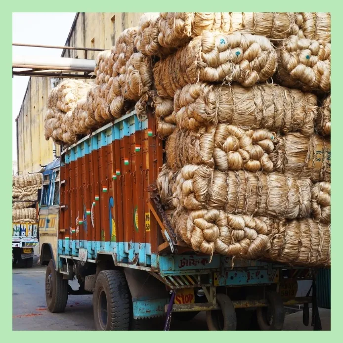 Truck loaded with raw jute bundles for transport