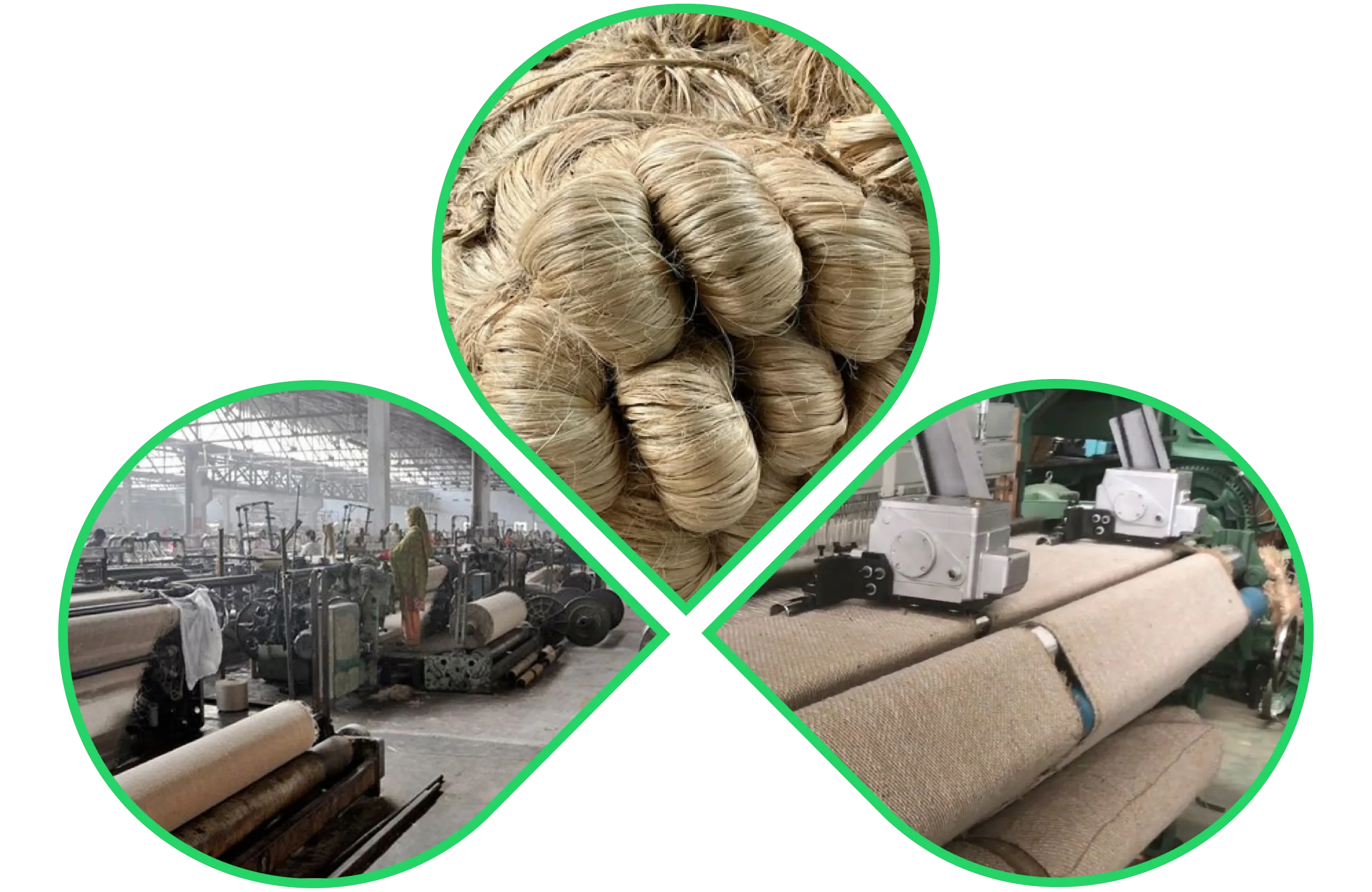 Jute yarn bundles and fabric production in a textile manufacturing unit