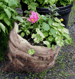 Gardening