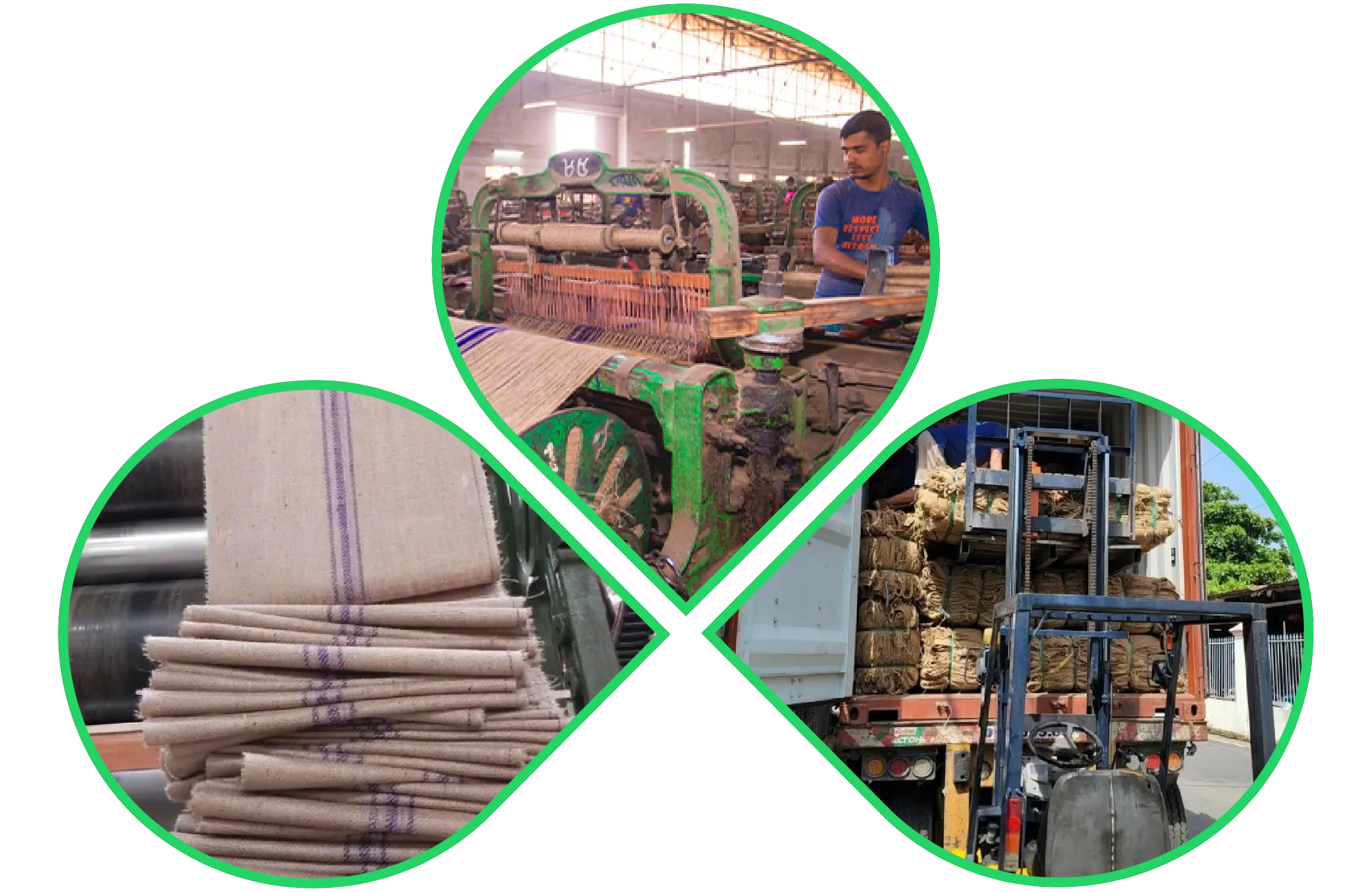 Jute fabric weaving, finished burlap rolls, and forklift loading jute bales into a container for export
