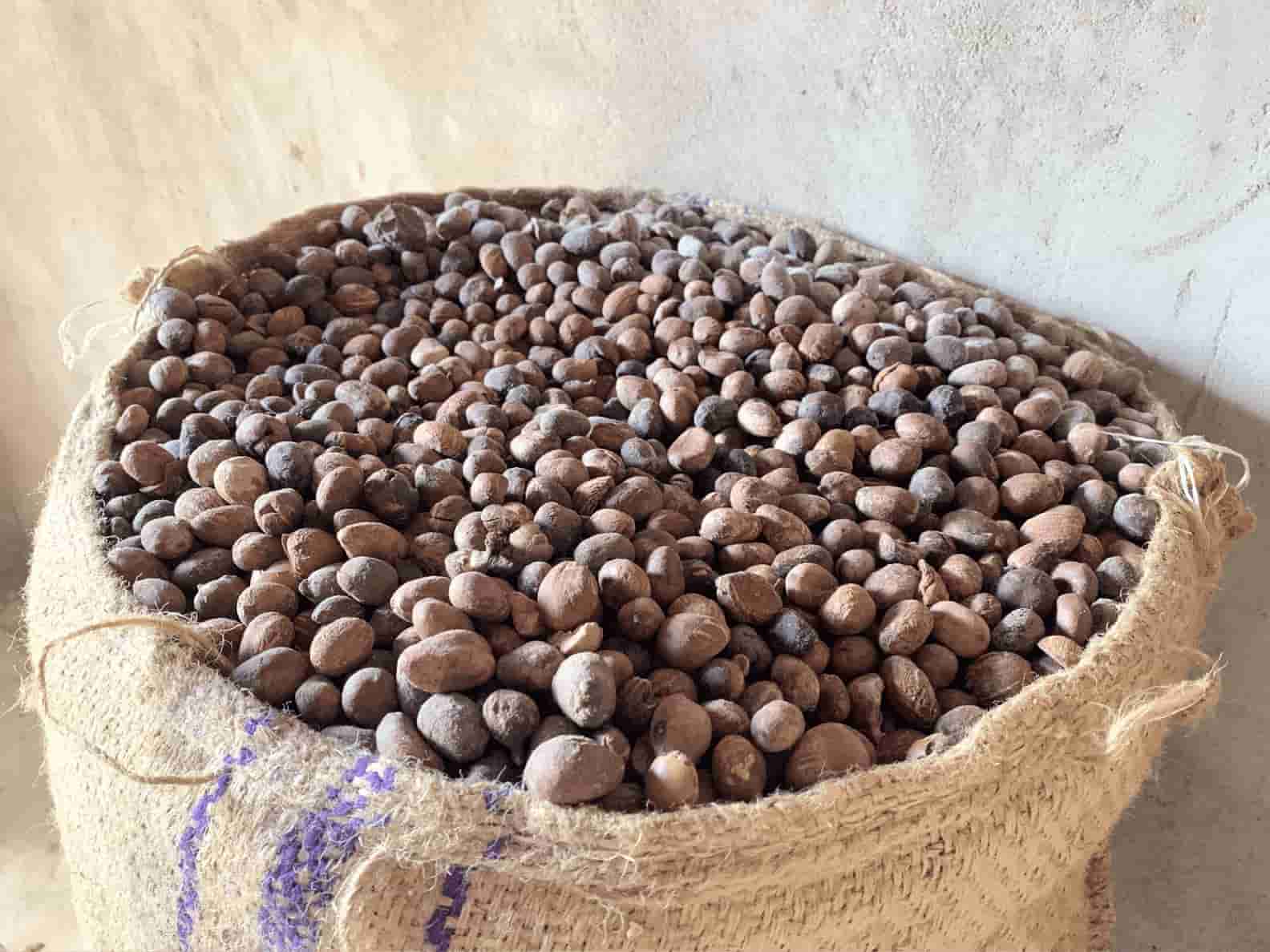 Shea Nut Bag
